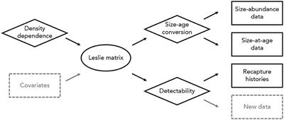 Integrating Multiple Data Types to Connect Ecological Theory and Data Among Levels